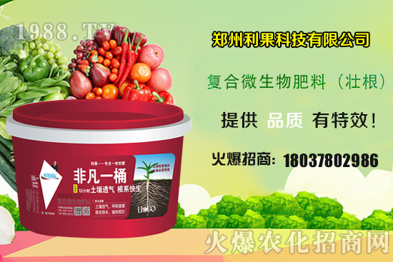 2020年種植辣椒賺錢(qián)嗎？種植前景如何？辣椒一畝地產(chǎn)量有多少？