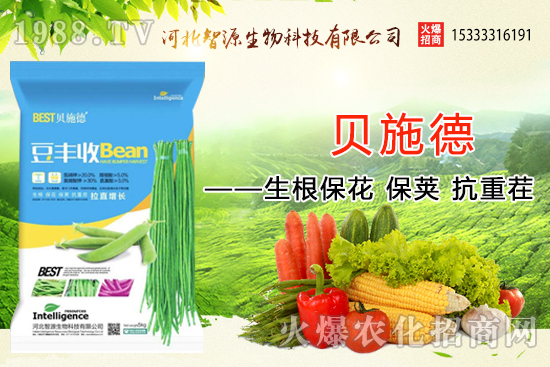 �ӱ���Դ�ٶȔy��1988.TV���y�ֹ���(chu��ng)��(zh��n)��(j��)��