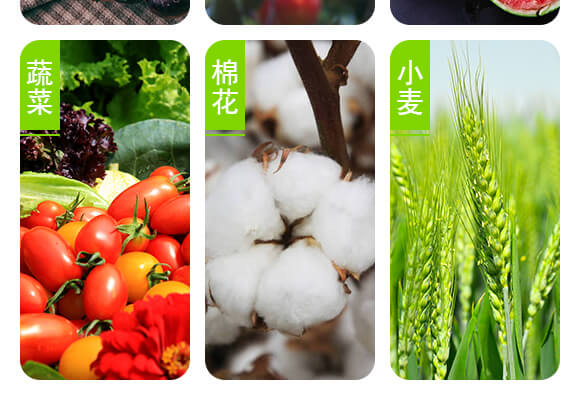 青島佐邦生物科技有限公司產(chǎn)品詳情頁(yè)3_05