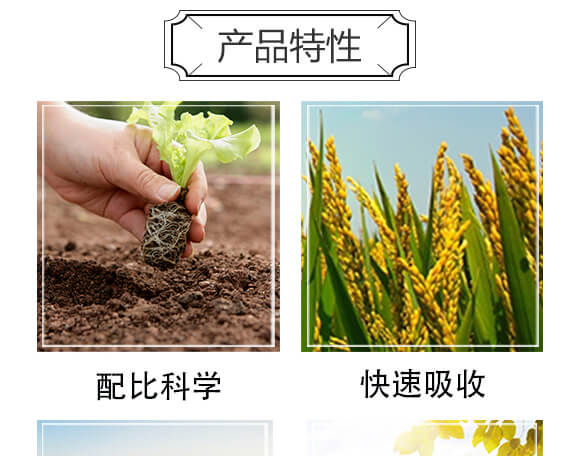 鼎豐賦能-天賜鼎立_05