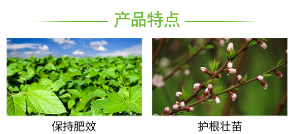 茄果通用濃縮型-新蚜虱凈-弗潤德_05