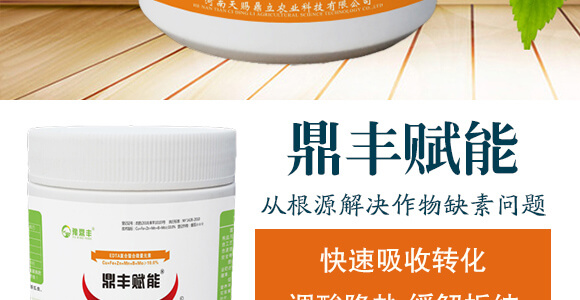 鼎豐賦能-天賜鼎立_03