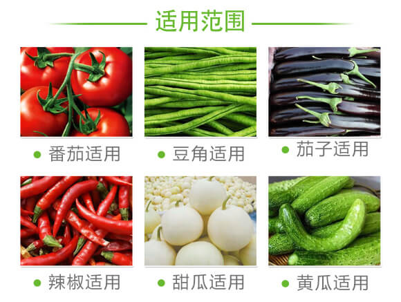 蚜虱片-茄果通用（西紅柿、茄子、黃瓜、辣椒、甜西瓜等）_07
