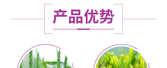 硫酸鉀型復(fù)合肥料25-14-6-鄂陽(yáng)_06