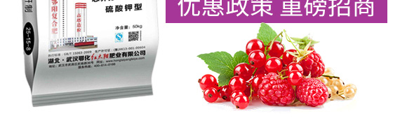 硫酸鉀型復(fù)合肥料25-14-6-鄂陽(yáng)_05