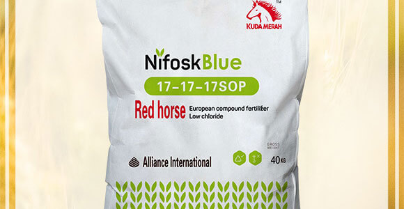 進口復(fù)合肥-速溶性化學(xué)肥料17-17-17SOP-KUDAMERAH庫達梅拉_02