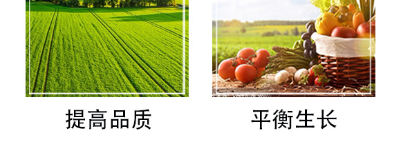 白粉型抑菌劑-粉無蹤-碩達_08