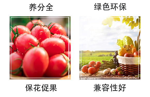 海藻腐殖酸型復(fù)合肥料18-18-18+TE-肥太子_05