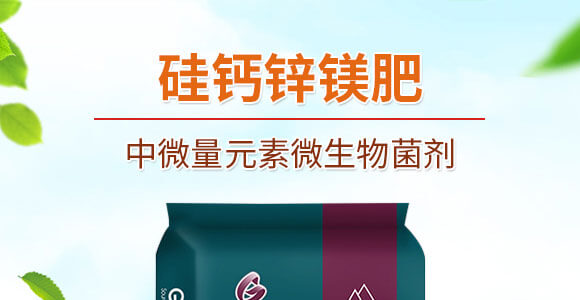 中微量元素微生物菌劑-硅鈣鋅鎂肥-根之道_01