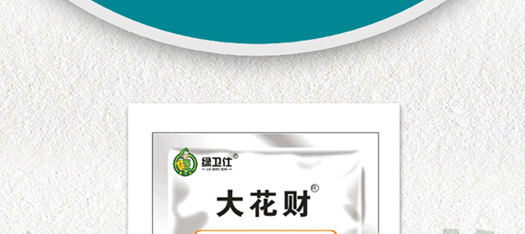 花生促花下針分杈劑-大花財(cái)-綠仕生物_02