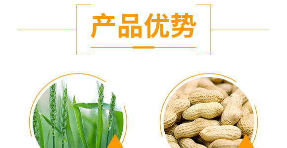 花生促花下針分杈劑-大花財-綠仕生物_05