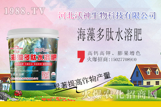  作物長勢好不好，根系管理很重要！“海藻多肽水溶肥”開啟作物生根時代！