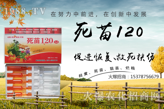  蔬菜種植不長(zhǎng)根，緩苗慢，死苗爛根？學(xué)會(huì)這些方法，蔬菜死苗爛根都不怕！