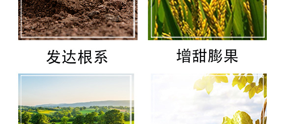 白粉型抑菌劑-粉無蹤-碩達_07