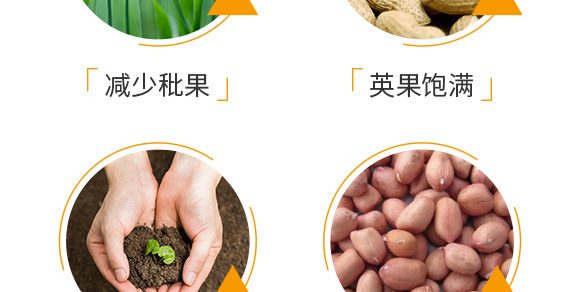 花生促花下針分杈劑-大花財-綠仕生物_06