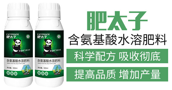 ��������ˮ�ܷ���-��̫��_03