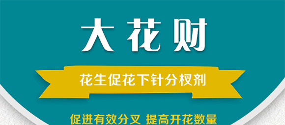 花生促花下針分杈劑-大花財(cái)-綠仕生物_01