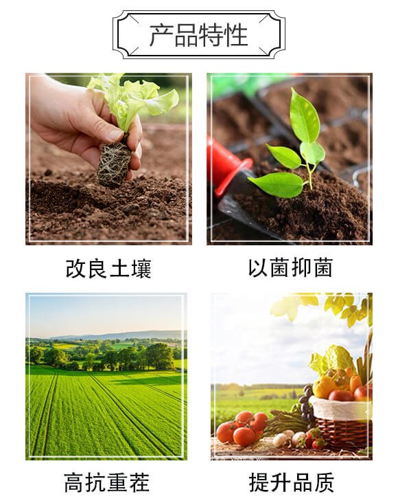 �����ͺϷ�-���r(n��ng)�ʘI(y��)_03