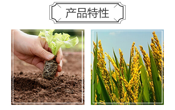 生物有機(jī)肥（綠）-豐農(nóng)_04