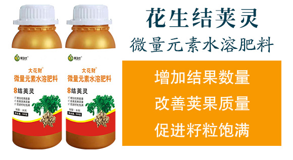 花生促花下針分杈劑-大花財-綠仕生物_04