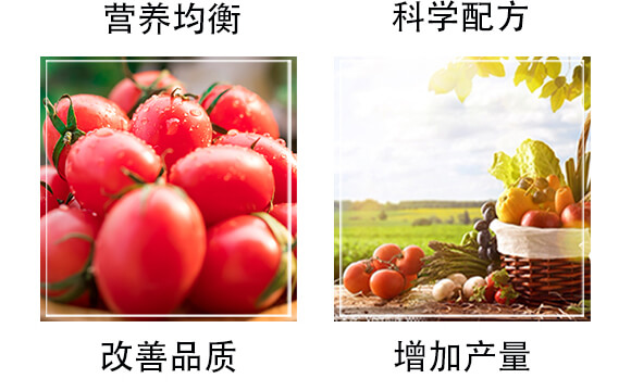 生物有機(jī)肥（綠）-豐農(nóng)_05