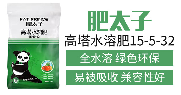 ����ˮ�ܷ�15-5-32-��̫��_03