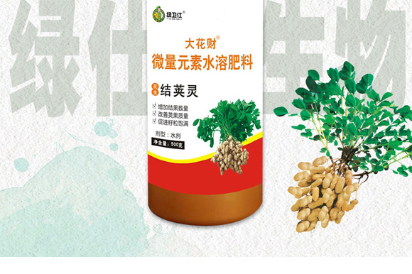 花生促花下針分杈劑-大花財-綠仕生物_03