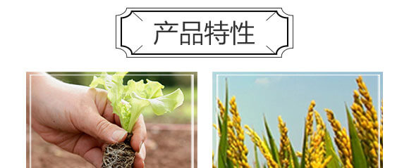 ��(x��)��������-��(gu��)�S���@_04