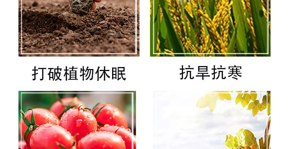 ��(x��)��������-��(gu��)�S���@_05