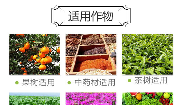 量子光肽炭基酶-果仕奇-國豐健園_08