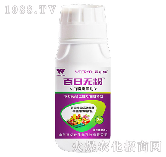 黃瓜白粉病發(fā)生嚴重，有沒有好的方法？黃瓜白粉病藥劑推薦！