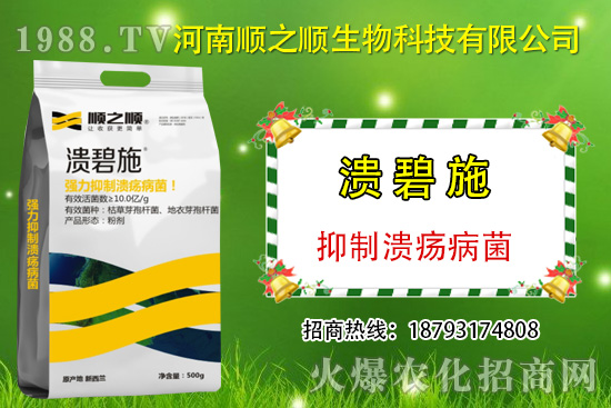 柑橘潰瘍病危害一年比一年嚴重，柑橘潰瘍病如何防控？