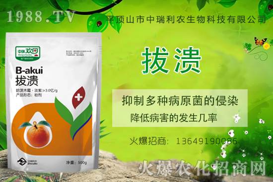 柑橘潰瘍病危害一年比一年嚴重，柑橘潰瘍病如何防控？