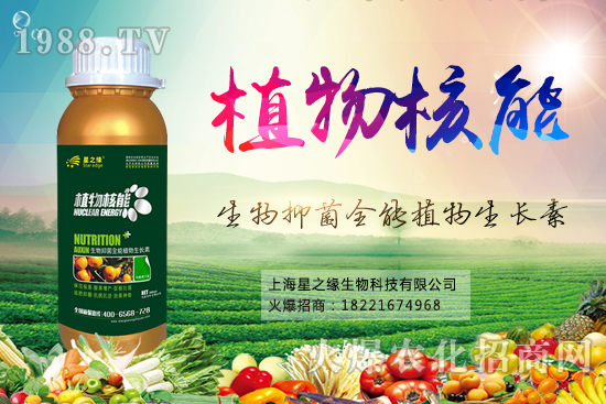 南瓜病蟲(chóng)害防治