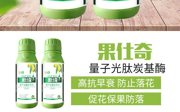 量子光肽炭基酶-果仕奇-國豐健園_03