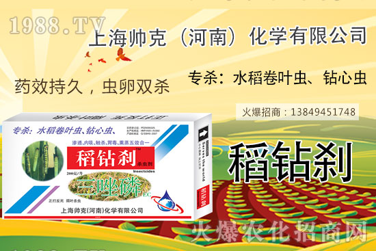     水稻鉆心蟲不好打？那是你沒用它！水稻鉆心蟲選對藥，防治不用愁！