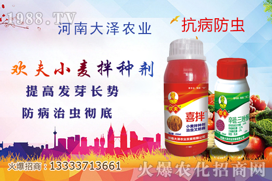 小麥拌種真有那么重要嗎，如何給小麥拌種更好？農(nóng)民要搞懂！