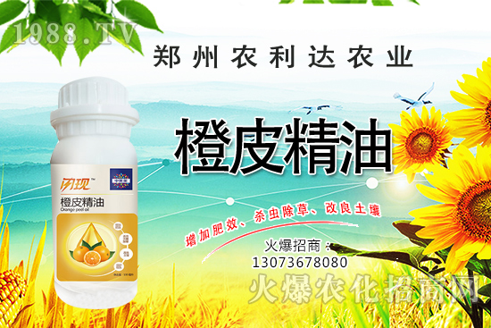 橙皮精油您了解多少？橙皮精油有什么作用？怎么選橙皮精油？