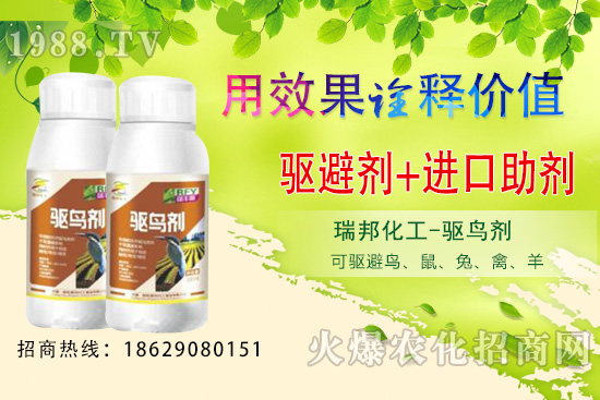 �ļ����@�B�������·������������󣡹��@�(q��)�B������