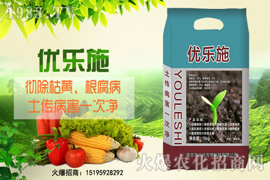 種芹菜空心多，品質(zhì)差？芹菜空心原因及防治措施！