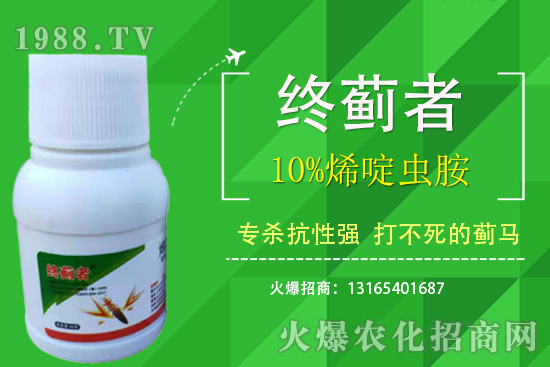 10%烯啶蟲(chóng)胺能打薊馬嗎？有什么特點(diǎn)？10%烯啶蟲(chóng)胺使用注意事項(xiàng)！
