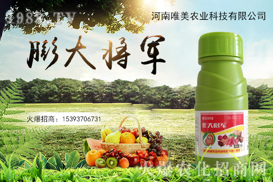 果實(shí)膨果慢、果實(shí)小怎么解決？果實(shí)膨果肥的選擇有哪些？