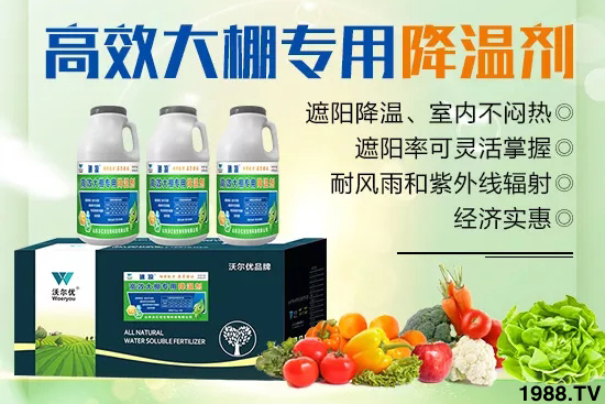 高溫對黃瓜有什么危害？大棚黃瓜降溫措施怎么做？