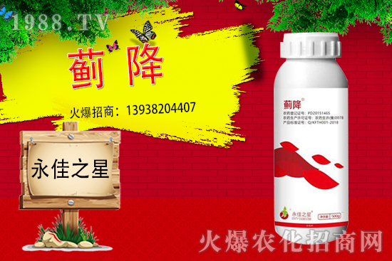 薊馬危害癥狀有哪些？用什么藥能有效防治？