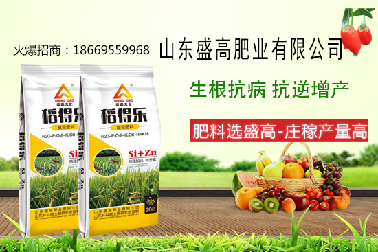 盛高肥業(yè)怎樣,有哪些優(yōu)勢(shì)?公司主打產(chǎn)品有哪些?