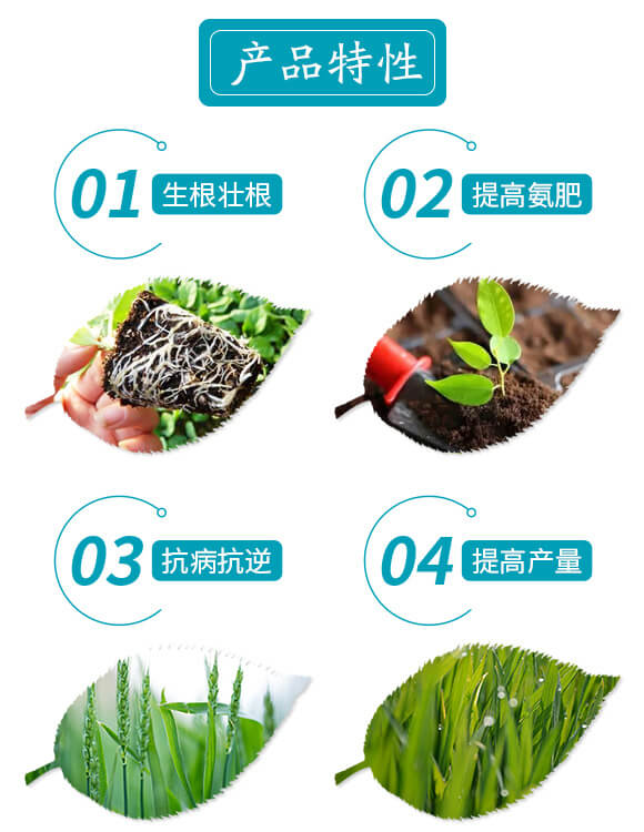 螯合型碳酶聚能肥-艾谷園-艾谷農(nóng)業(yè)_03