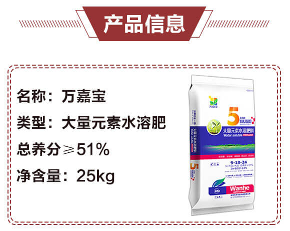 大量元素水溶肥料9-18-24-萬(wàn)嘉寶-萬(wàn)禾農(nóng)科_03