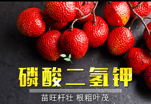 磷酸二氫鉀(10千克)-金可諾_01