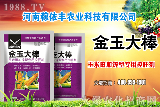 玉米施肥尿素和復合肥哪個好？玉米施肥注意事項有哪些？
