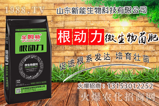 作物生根用什么肥？使用“微生物菌肥”有什么優(yōu)勢(shì)？